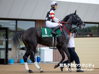 【福島牝馬Ｓ2024】勝ち馬予想の金言録「福島牝馬ステークスは前走芝1800mで敗れた馬」