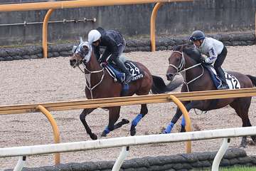 【日本ダービー】２週前追い　メイショウタバルは浜中騎手を背にＣＷコースで併せ馬